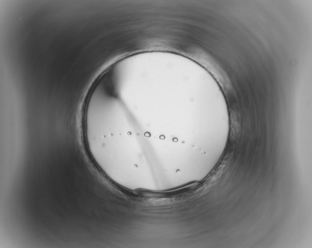 X0000101461142200807280954