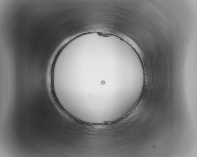 X0000101461144200807280954