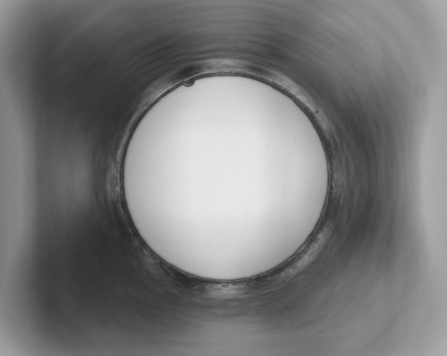 X0000101461145200807280954