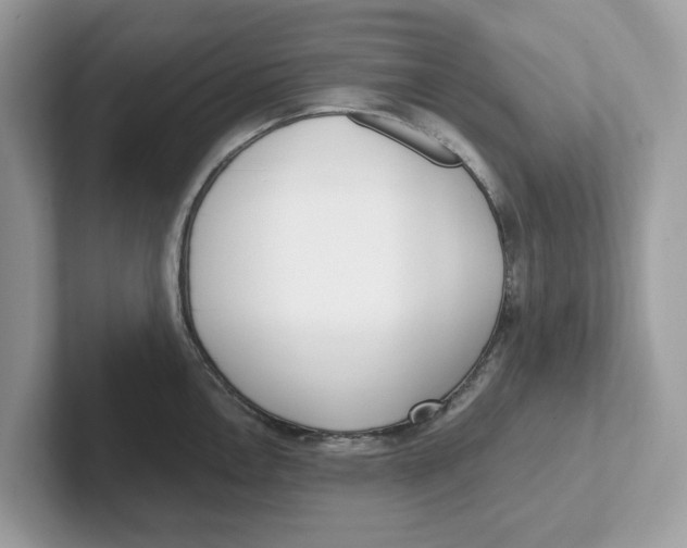 X0000101461146200807280954