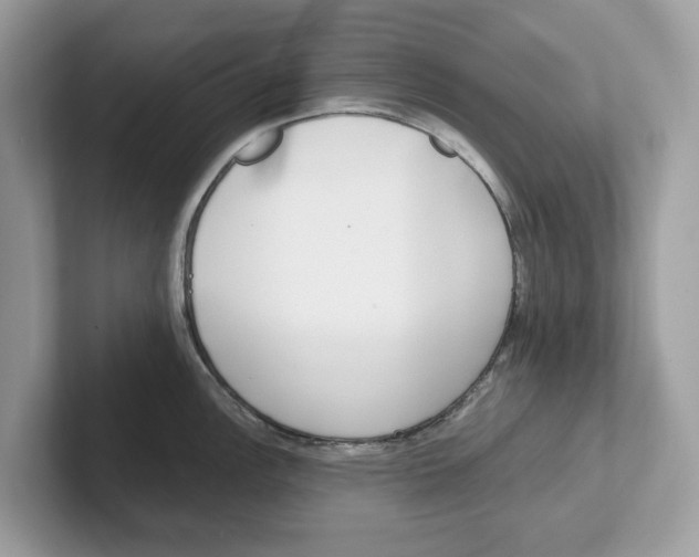 X0000101461148200807280954