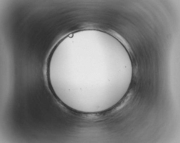 X0000101461149200807280954