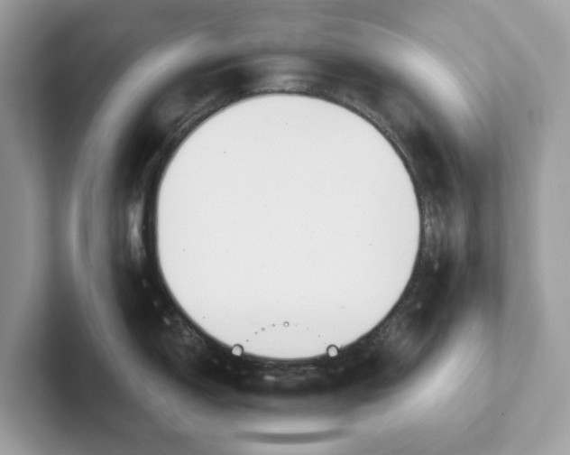 X0000101461150200807280954