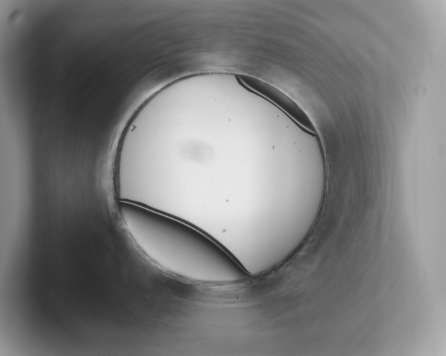 X0000101461152200807280954