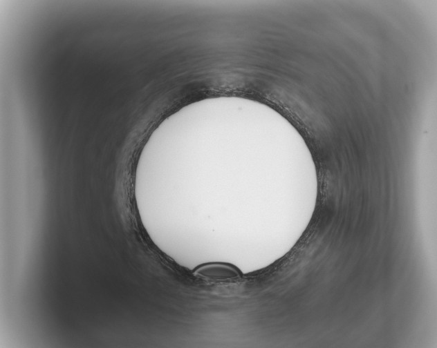 X0000101461153200807280953