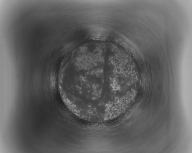 X0000101461154200807280953