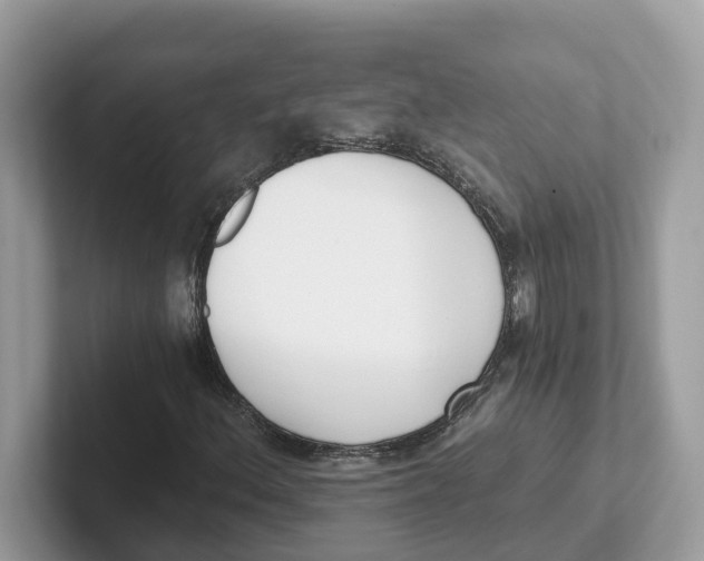 X0000101461156200807280953