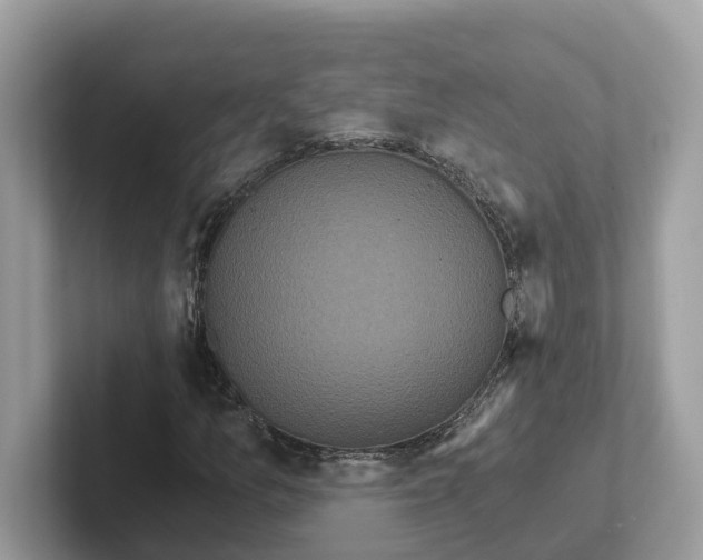 X0000101461157200807280953