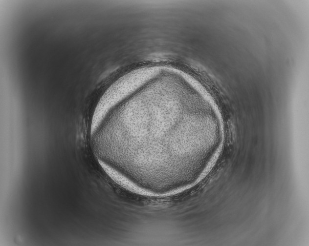 X0000101461158200807280953