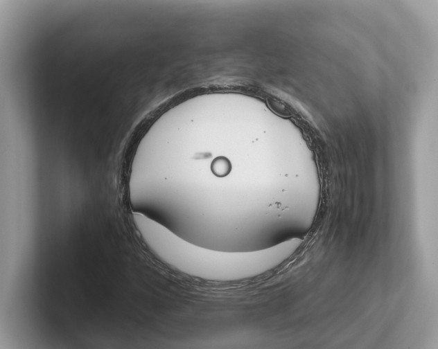 X0000101461160200807280953