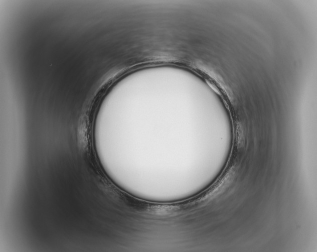 X0000101461163200807280953