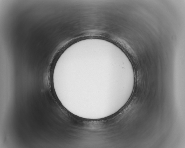 X0000101461164200807280953