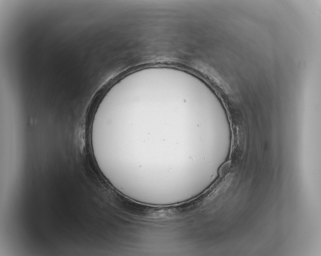 X0000101461165200807280953