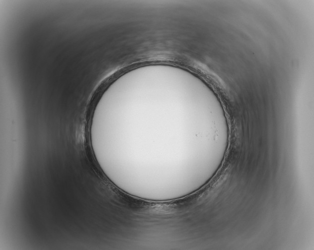 X0000101461166200807280953