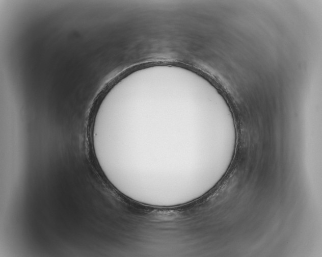 X0000101461168200807280953