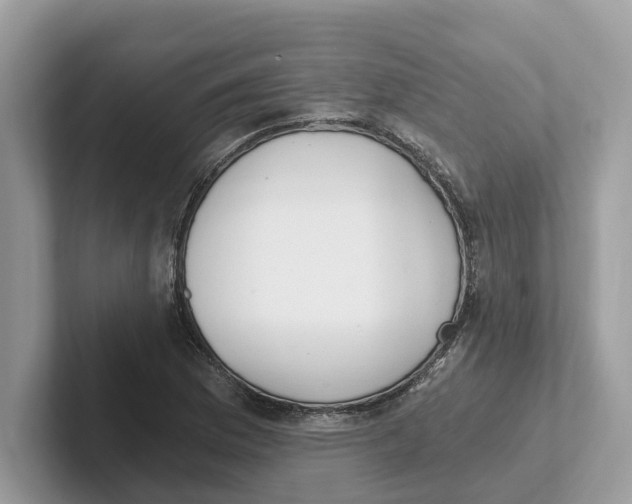 X0000101461169200807280953