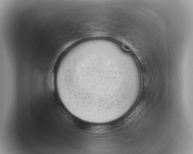 X0000101461171200807280953