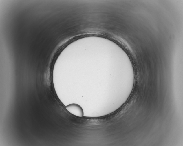 X0000101461172200807280953