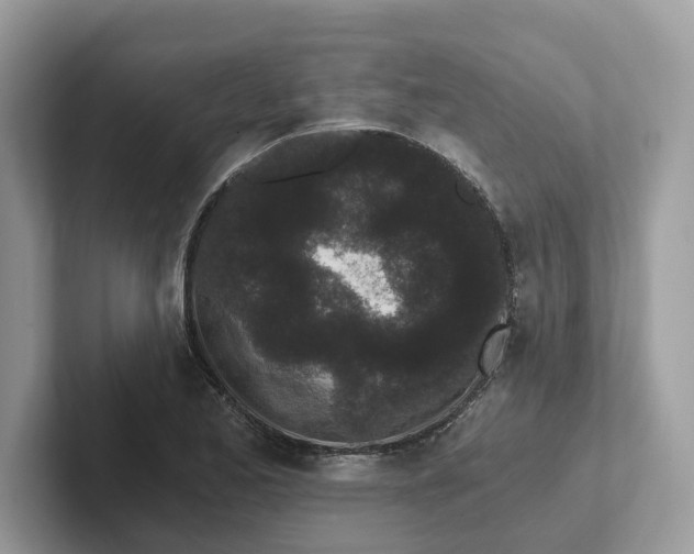 X0000101461173200807280953