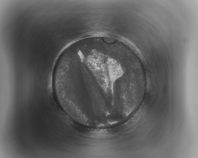 X0000101461174200807280953