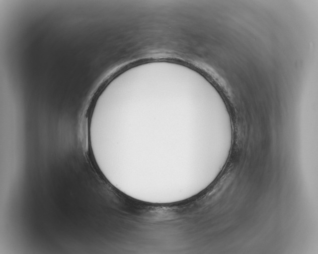 X0000101461175200807280953