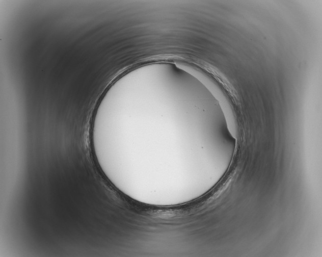 X0000101461177200807280953