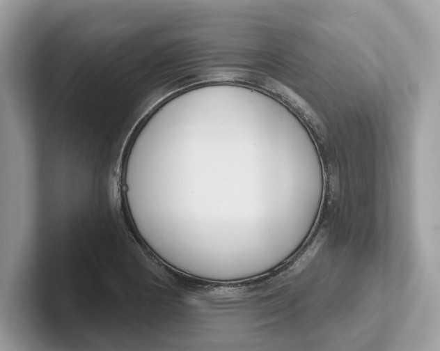 X0000101461178200807280953