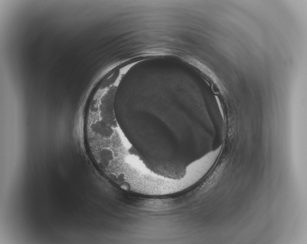 X0000101461179200807280953