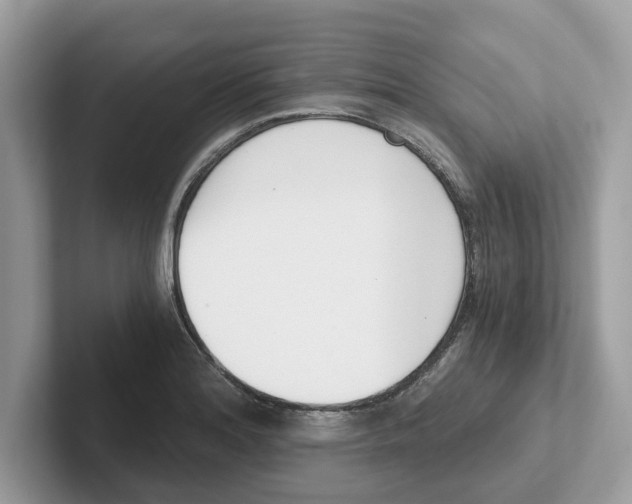 X0000101461180200807280953