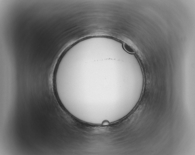 X0000101461181200807280953