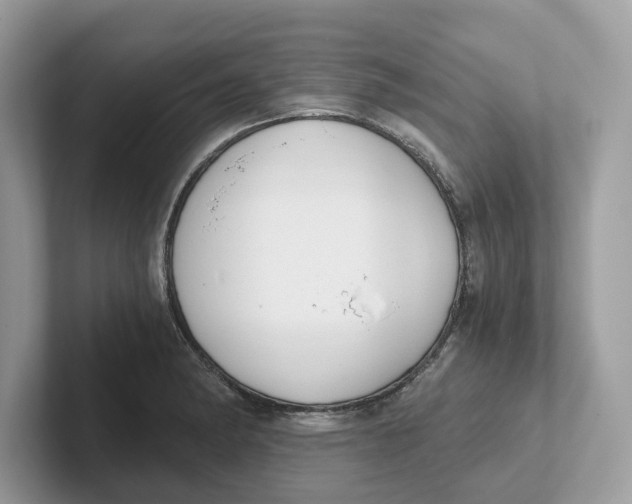 X0000101461182200807280953