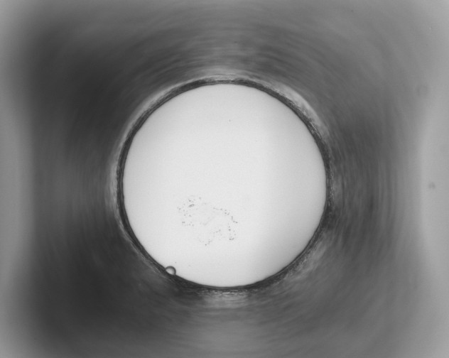 X0000101461183200807280953