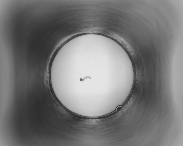 X0000101461184200807280953