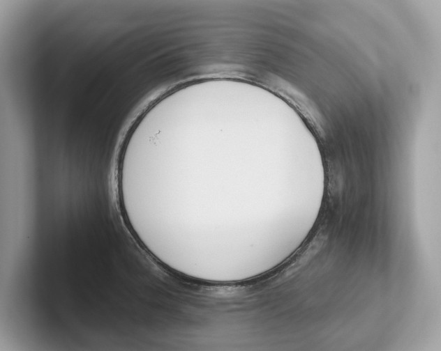 X0000101461188200807280953