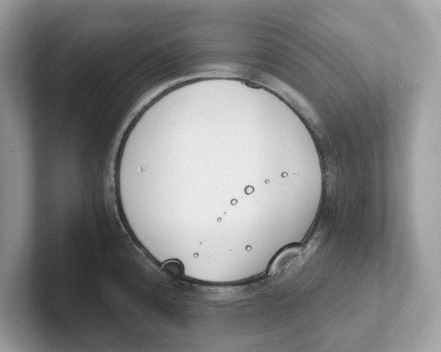 X0000101461192200807280953