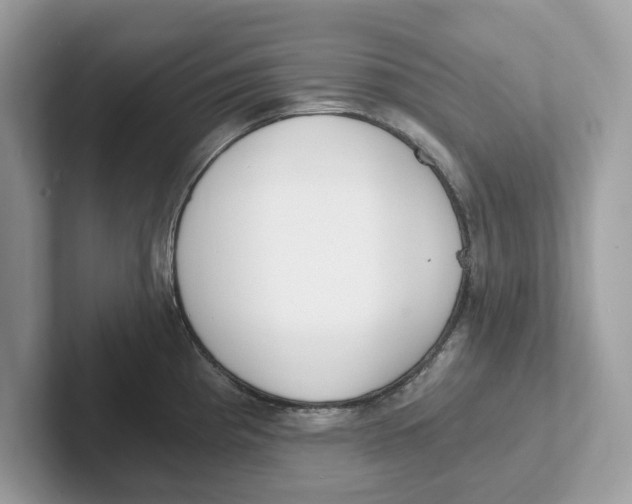 X0000101461193200807280953