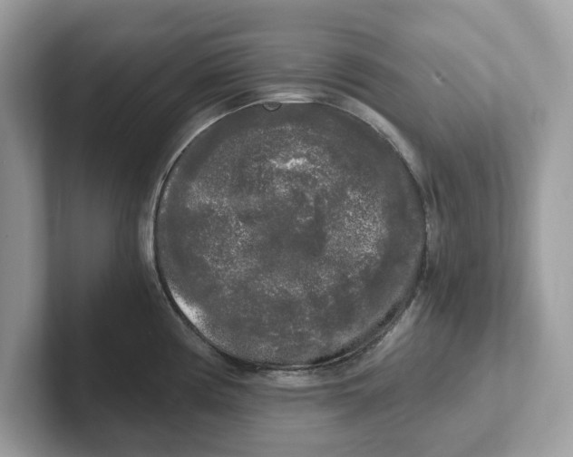 X0000101461194200807280953