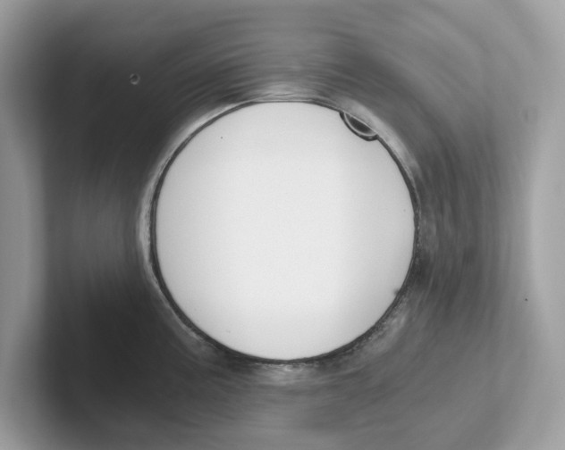 X0000101461195200807280953