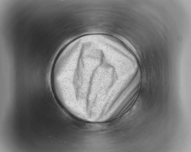 X0000101461197200807280953