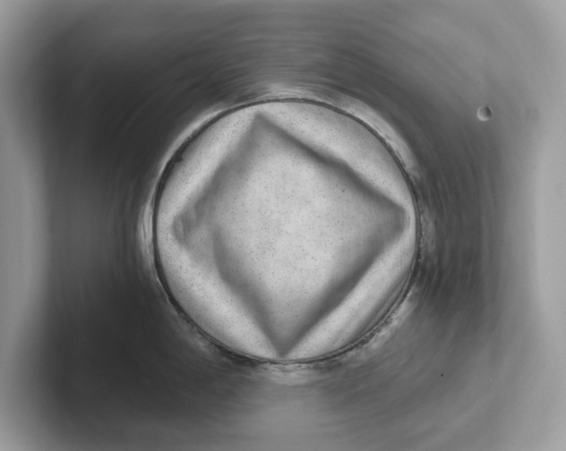 X0000101461198200807280953