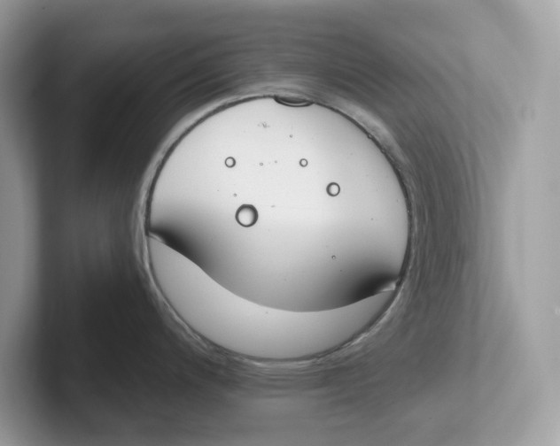 X0000101461200200807280953