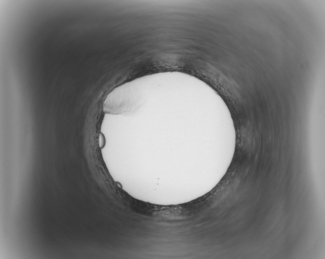 X0000101461201200807280952