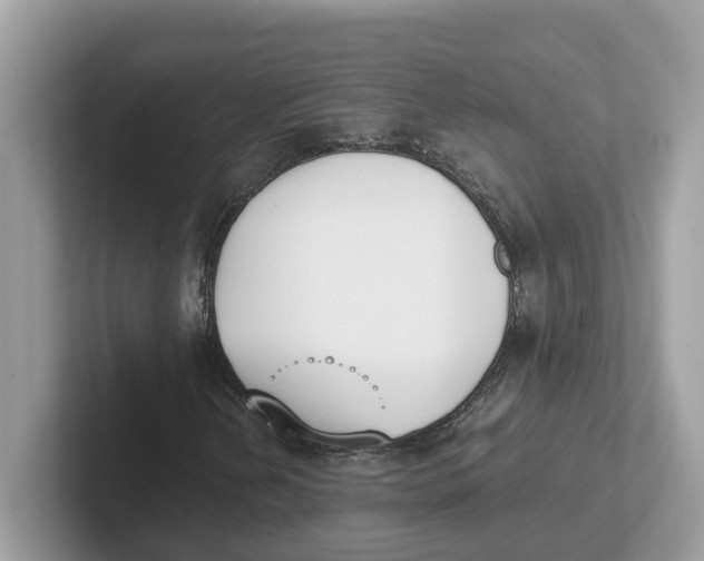 X0000101461202200807280952