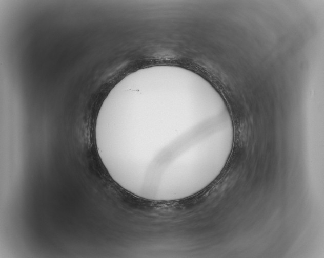 X0000101461205200807280952