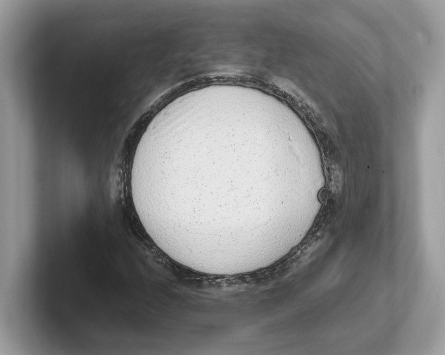 X0000101461208200807280952