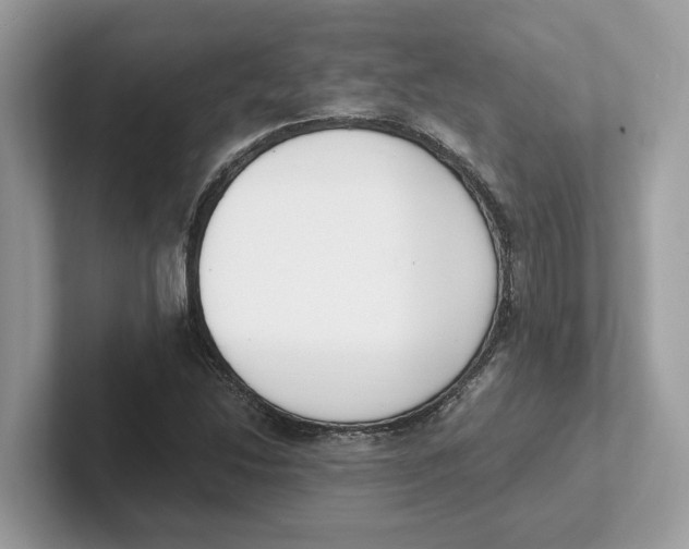 X0000101461214200807280952