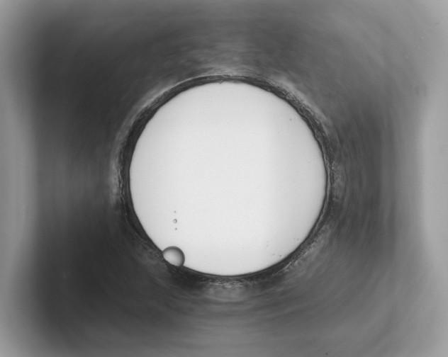 X0000101461215200807280952