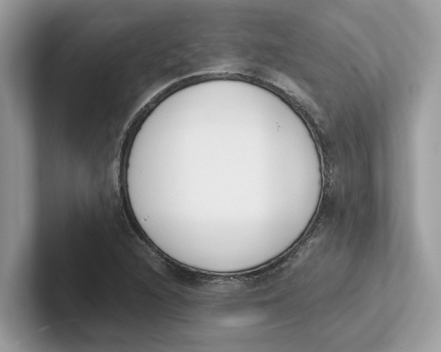 X0000101461216200807280952