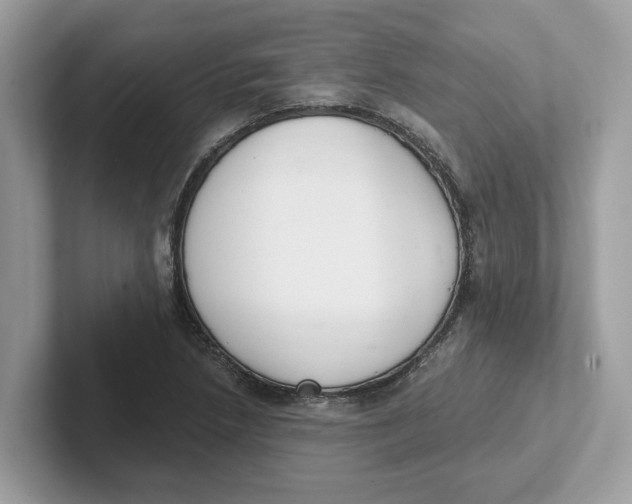 X0000101461218200807280952