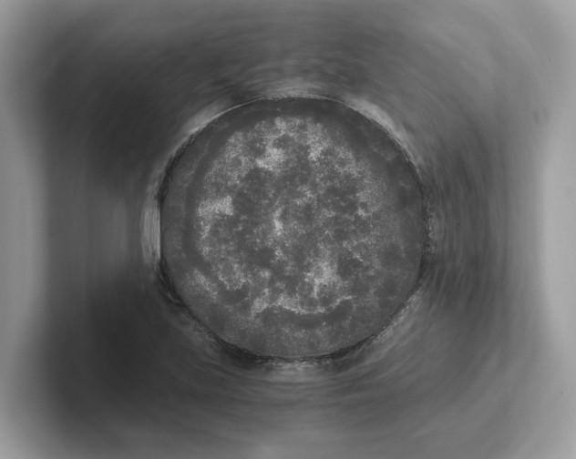 X0000101461219200807280952